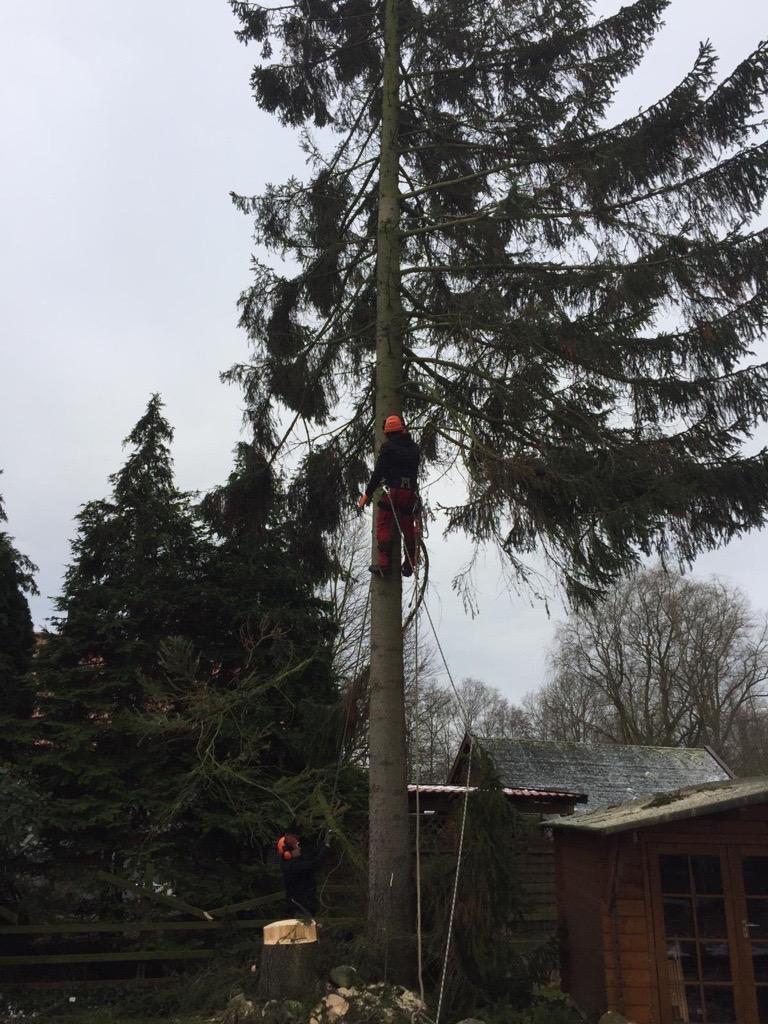bild2